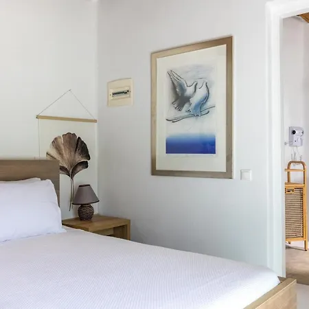 Villa Zanetti Mykonos *
